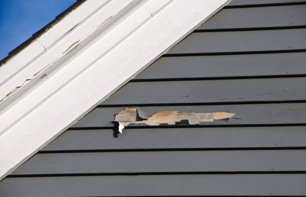 Best Property Management Cleanouts  in Southgate, KY